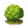 bush