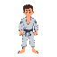 brazillian jiu jitsu mount position