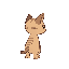 cute cat facing right