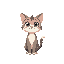 cute cat