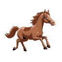 horse running facing to the right