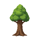 a tree person