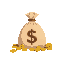 extra large bag of coins