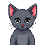 a small kitten