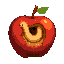 rotten dark perished apple with a beige worm digging a hole through it , beige worm all around the apple, beige worm wrapping the apple