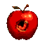 rotten dark perished apple with a worm digging a hole through it , worm all around the apple, worm wrapping the apple