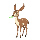 overweight female doe deer farting green gas