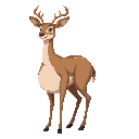 overweight female feral doe deer with giant stomach and thick thighs 