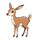 overweight female doe deer farting