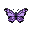 a butterfly. front view