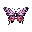 a butterfly. front view
