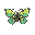 a butterfly with human eyes