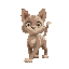 walking cat