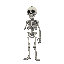 skeleton who does not have one hand. also make him look wizard like