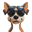 dog with wide face wearing shades. make the frame of the artwork look like a computer screen