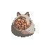 cat food pebble