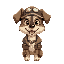 cute dog with camp attire 
