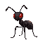 brownish black ant with glowing red eyes