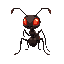 brownish black ant with glowing red eyes
