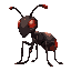 brownish black ant with glowing red eyes