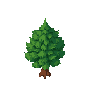 pine tree
