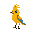 bird with a yellow-orange color, but with a blue belly and the feathers on its head forming a cockade