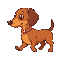 a cute cartoon-style dachshund (sausage dog) character, walking in a side-view profile. the dog has short legs, a long body, reddish-brown fur, floppy dark ears, a pink collar with a small flower char