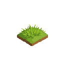 grass