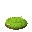 grass