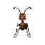 ant