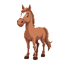 horse 