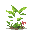 um viveiro de plantas