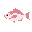 halibut , fish , npc , pink , lying flat , top-down view