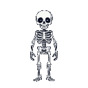 cute skeleton small 