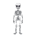 skeleton