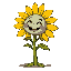 create a smiling sunflower moving back and forth create it from the plants vs zombies game