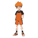 hinata shoyo é um jovem de cabelos laranja ,determinado e energético do anime haikyuu!!. apaixonado por vôlei, supera sua baixa estatura com agilidade e espírito de equipe, ele é capaz de cortar, fazer a passada de ataque, receber e muito mais, buscando s