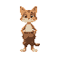cat with pants