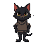 black cat wearing tunic