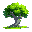 a tree