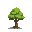 a tree
