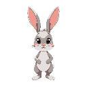 cute rabbit