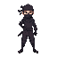 ninja 