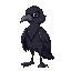 raven with smooth design