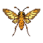 a moth fighter, but 2-legged, tall and thin 