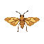 a moth, but 2-legged, tall and thin 
