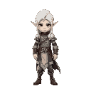 white hair elf warrior