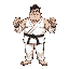 give rise to an overweight karate boxing fighter champion