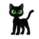 gato preto com os olhos verdes de quatro patas 
