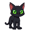 gato preto com os olhos verdes de quatro patas 